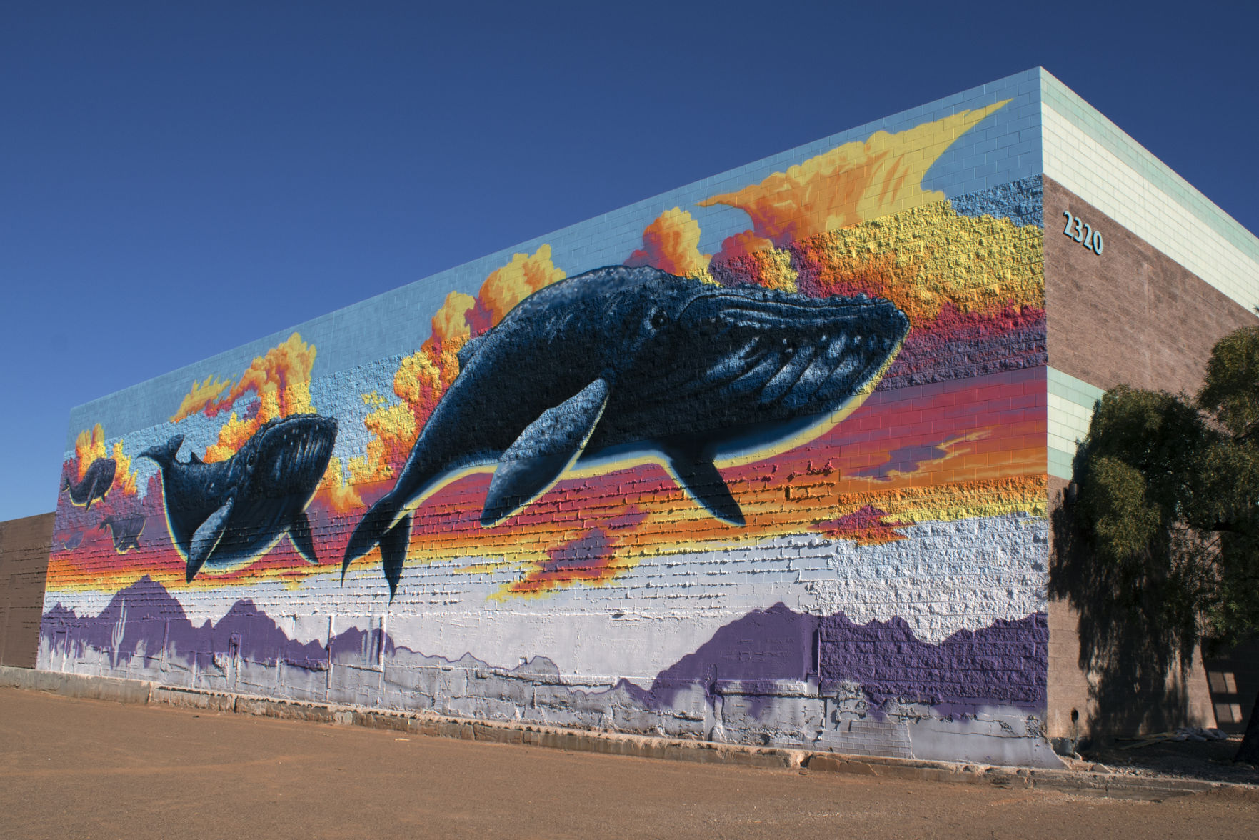 Tucson murals